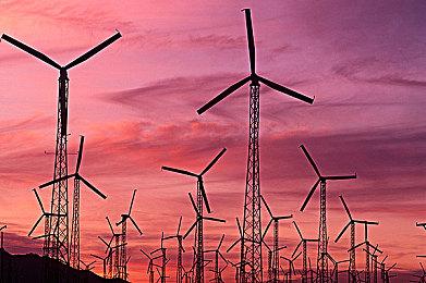 任天堂公布《宝可梦：朱＆紫》特色介绍视频